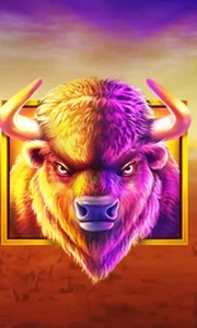 Buffalo King